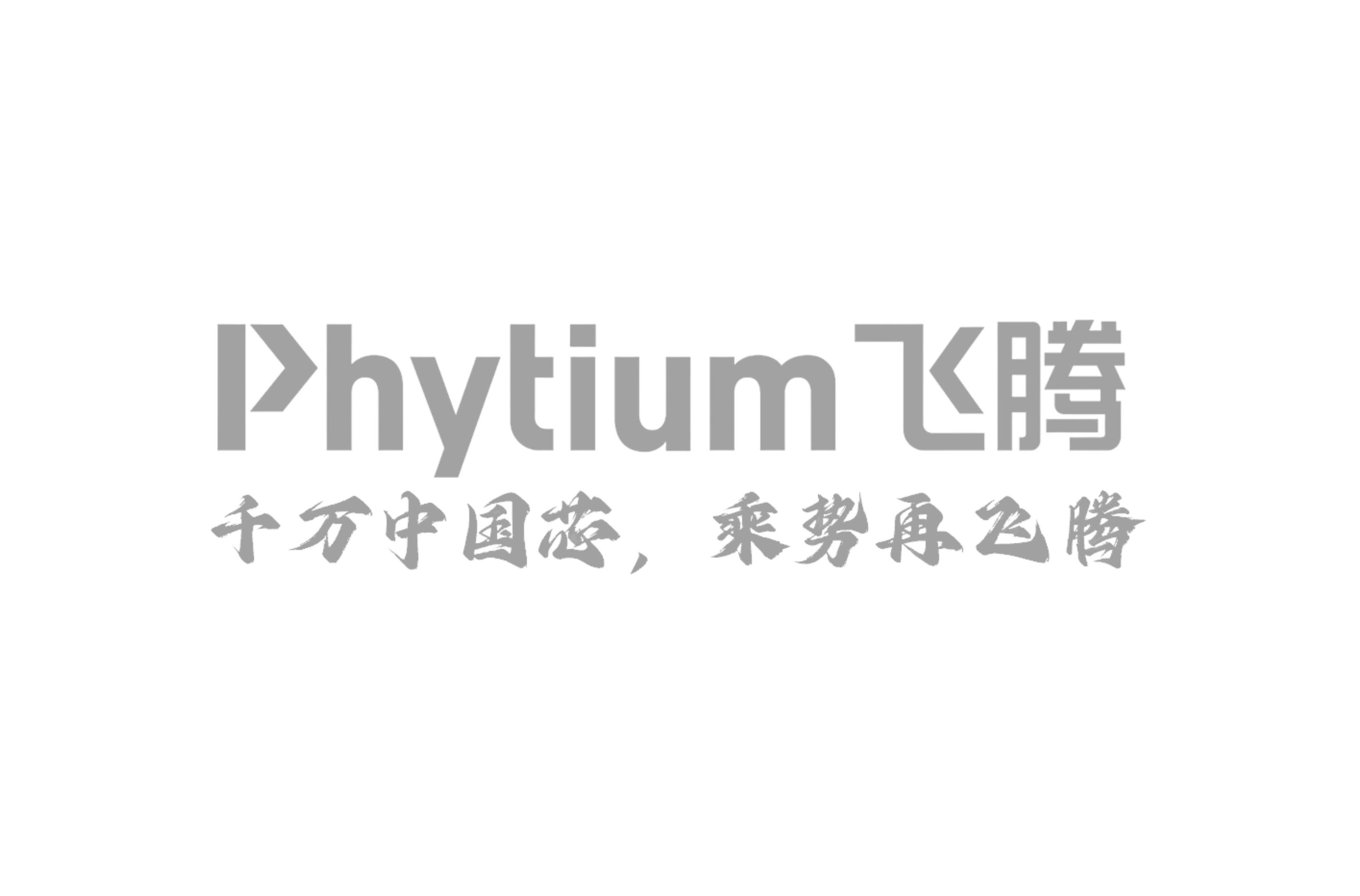 飞腾.png